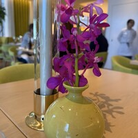 Sophie at EDITION - 
