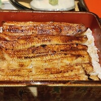 うなぎ 目白ぞろ芽 - 