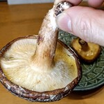 太子堂馬肉料理店 - 