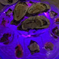 スミレオオサカ -  スミレオオサカ -