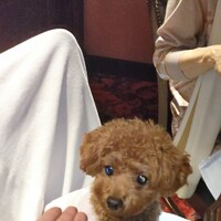 レストラン・パッション - 