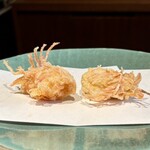 江戸前晋作 - 車海老　頭