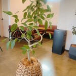 カフェ＆ランドリー リリアン - 