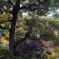 京味 もと井 - 