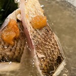 鮨 しゅん輔 - カマスの炙りのドアップ