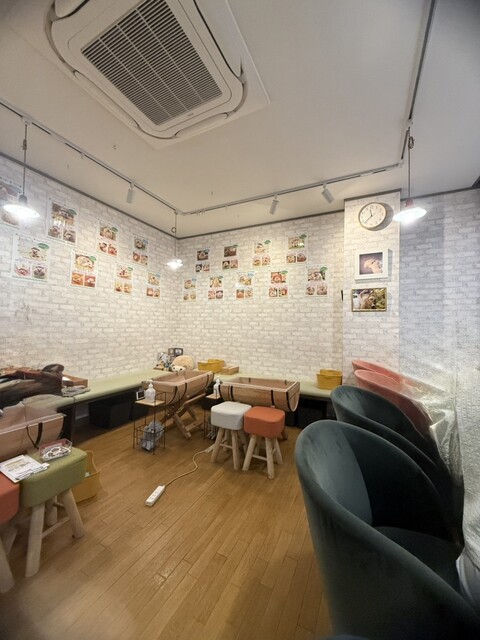 Harinezumi Senmon Cafe Harry Wood Nagoya Sakae Ten