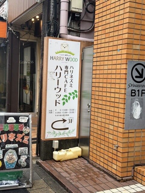 Harinezumi Senmon Cafe Harry Wood Nagoya Sakae Ten photo 5