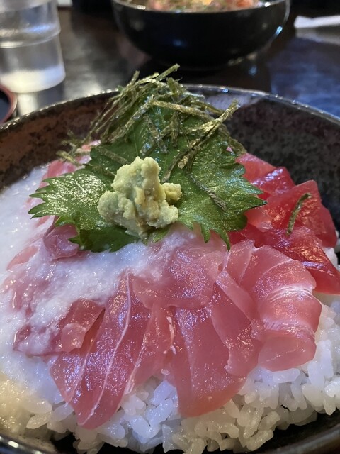 まぐろてゃん Maguroya Ten | Shop List | Tempozan Marketplace