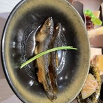 鮨 赤酢 あらまさ - 