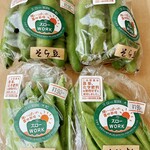 えこびと - スローWORK大和さんのお豆