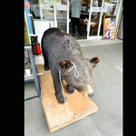 菜食健美 里味 - 里味のクマちゃん　byまみこまみこ