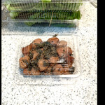 菜食健美 里味 - 入口に売ってた梅干しがめちゃくちゃ美味しかったぞよ　\(//∇//)\    byまみこまみこ