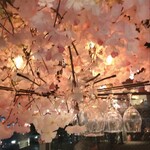 ESOLA  登戸駅前店 - 