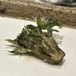 日本橋 蕎ノ字 - 胡桃の新芽