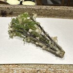 日本橋 蕎ノ字 - コシアブラ