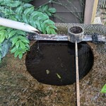 やをよし - 店内、店外、中庭…いたるところも自然なこだわり