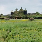 ラ コリーナ近江八幡 - 