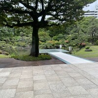 鉄板焼 桜 - 