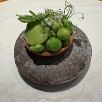 ル スプートニク - 