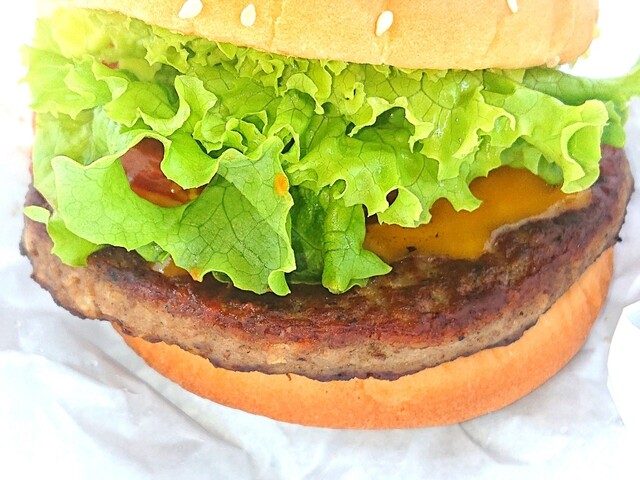 フレッシュネスバーガー 泉Ａｃｓ店 - 八乙女（ハンバーガー）の写真