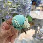 HAUTE COUTURE・CAFE - 