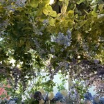 HAUTE COUTURE・CAFE - 