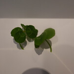 レ セゾン - 四つ葉のクローバー