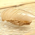 髙橋 謙太郎 - 【 あおりいか 】