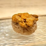 髙橋 謙太郎 - 【 雲丹 】天草のムラサキウニ