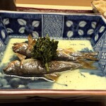 髙橋 謙太郎 - 【 鮎 】二煎めの玉露　やきびたし　