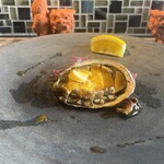 鉄板焼き 大地 - 