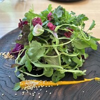 アグリスケープ - 