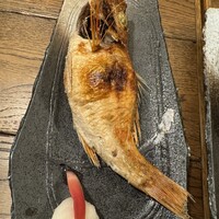 のどぐろの中俣 新橋 - 
