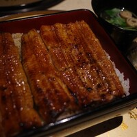 うなぎ 目白ぞろ芽 - 