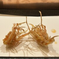 天 よこた - 