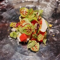 URANOS - 