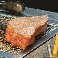 YANAGI TePPaN UNBORN GASTRONOMY - 