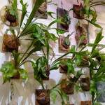 こふん前Cafe IROHA - 