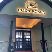 CODA ROSSA - 