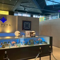 リュクス ダイニング ハプナ - 