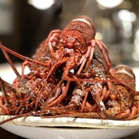 スガラボヴィー - 