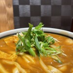 天然大海老天丼 自家製おうどん 白狐 - 