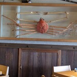 磯料理　開福丸 - 巨大なカニの剥製？が！