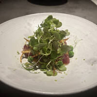 GapricE - 