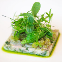 Hills House Dining 33 - ランチコース 7392円 のプレッセドプーレ 春野菜のジャルダン仕立て