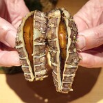 鮨 一幸 - 右は卵が少なくて使えないそうです