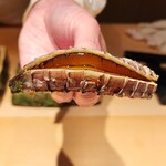 鮨 一幸 - この時期限定『名物の子持ち蝦蛄』