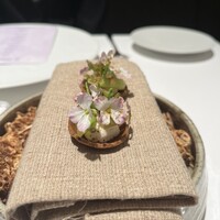 オトワ レストラン - 