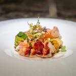 NH - オマールブルー カリフラワー レモンバーム