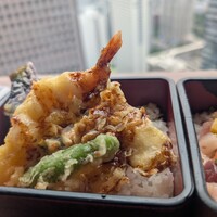 星空の中へ - 